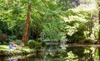 Mountain Element Retreats - Redcliffe Tourism 17