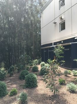 Ibis Budget Gosford - Redcliffe Tourism 14