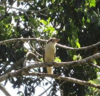 Sunshine Valley Cottages - Redcliffe Tourism