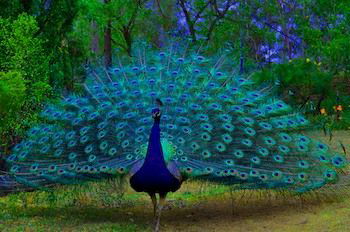 Ferndale - Redcliffe Tourism 7