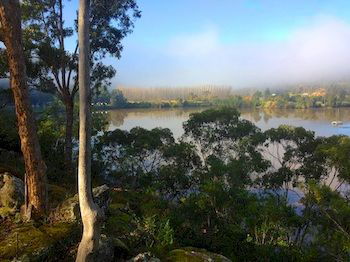 Ferndale - Redcliffe Tourism 9