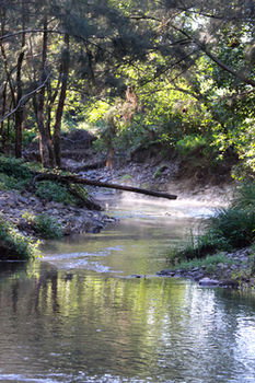 Yabbaloumba Retreat - Redcliffe Tourism 5