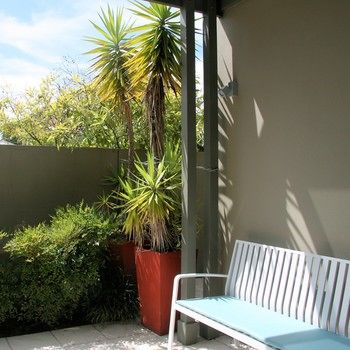 Chaucer Palms Boutique Bed & Breakfast - Redcliffe Tourism 26