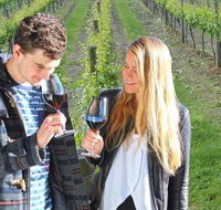 Valley Farm Vineyard Cottages - Redcliffe Tourism