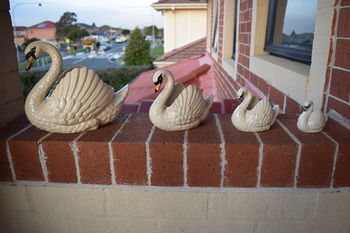 Meurants Manor Bed And Breakfast - Redcliffe Tourism 15