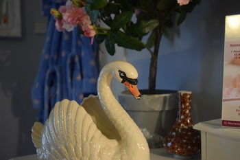 Meurants Manor Bed And Breakfast - Redcliffe Tourism 39