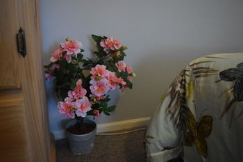 Meurants Manor Bed And Breakfast - Redcliffe Tourism 42