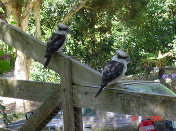 Stones Throw Cottage Bed & Breakfast - Redcliffe Tourism 4