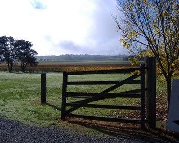 Yering Farm Wines - Redcliffe Tourism 10