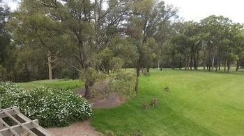 Villa Christian At Cypress Lakes Resort - Redcliffe Tourism 25