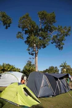 BIG4 Solitary Islands Resort - Caravan Park - Redcliffe Tourism 26