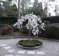 Corner Manor Leura - Redcliffe Tourism
