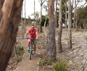 Tranquil Point Retreat - Redcliffe Tourism 1