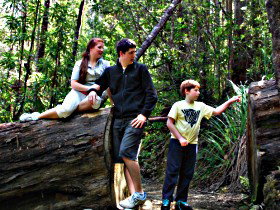 Tahune Airwalk Lodge - Redcliffe Tourism 0