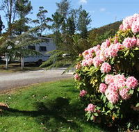 Zeehan Bush Camp  and Caravan Park - Redcliffe Tourism