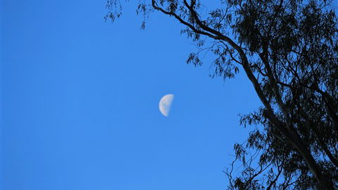 Gentle Annie Caravan And Camping Reserve - Redcliffe Tourism 4
