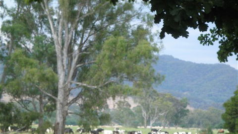 Gentle Annie Caravan And Camping Reserve - Redcliffe Tourism 3
