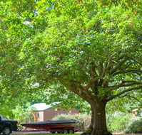 Lakes and Craters Holiday Park - Redcliffe Tourism
