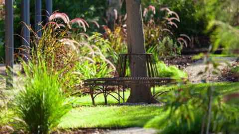 Comfort Inn & Suites Blazing Stump - Redcliffe Tourism 5