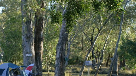 Numurkah Caravan Park - Redcliffe Tourism 2
