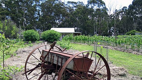 Pennyroyal Raspberry Farm & Cidery - Redcliffe Tourism 2