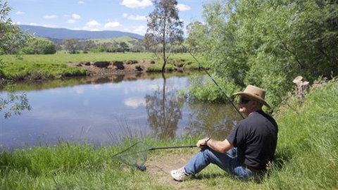 BIG4 Taggerty Holiday Park - Redcliffe Tourism 4