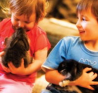 Macka's Farm - Redcliffe Tourism