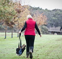 Black Cat Cottage - Redcliffe Tourism