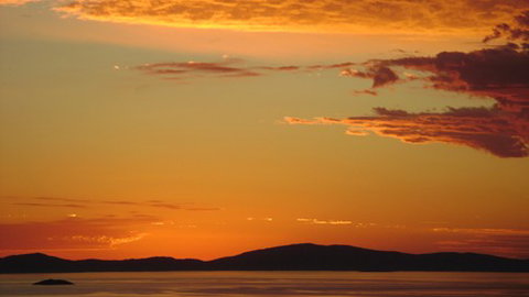 A Fare With Nature @ Prom Road Farm - Redcliffe Tourism 5