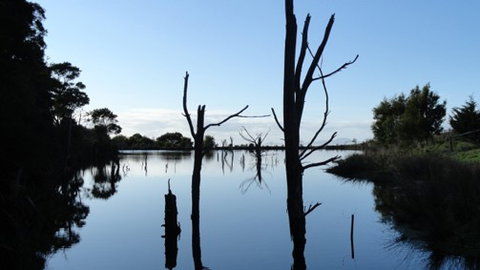 A Fare With Nature @ Prom Road Farm - Redcliffe Tourism 6