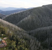 Howmans Gap Alpine Centre YMCA - Redcliffe Tourism