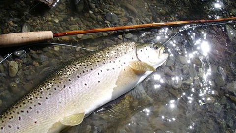 Riverview Lodge - Redcliffe Tourism 3