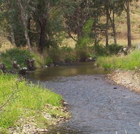 Murphy's Cabin - Redcliffe Tourism