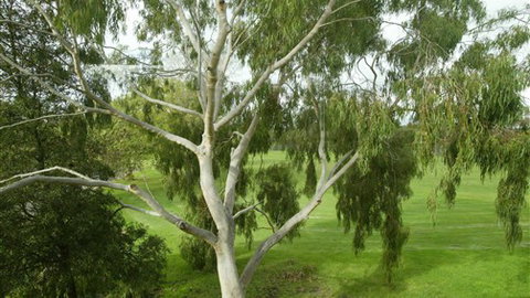 Parkside Stay Clifton Hill - Redcliffe Tourism 2