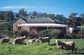 Amanda Stichbury Cottage - Redcliffe Tourism 0