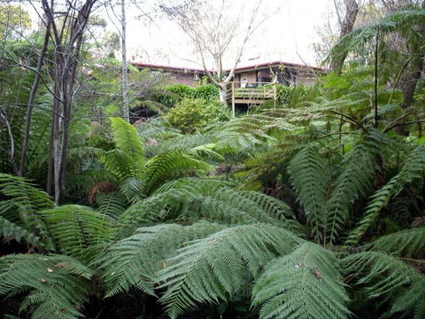 Adelaide Hills Bed & Breakfast Accommodation - Redcliffe Tourism 3