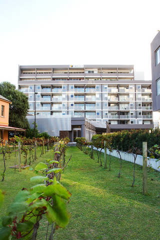 B7 Honeysuckle Apartments - Redcliffe Tourism 1