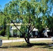 Blue Topaz Caravan Park  Camping Ground - Redcliffe Tourism