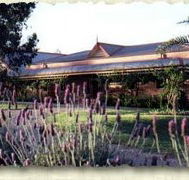Bluebush Estate - Redcliffe Tourism