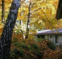 Bogong Village - Redcliffe Tourism