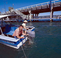 Comfort Inn Mandurah - Redcliffe Tourism