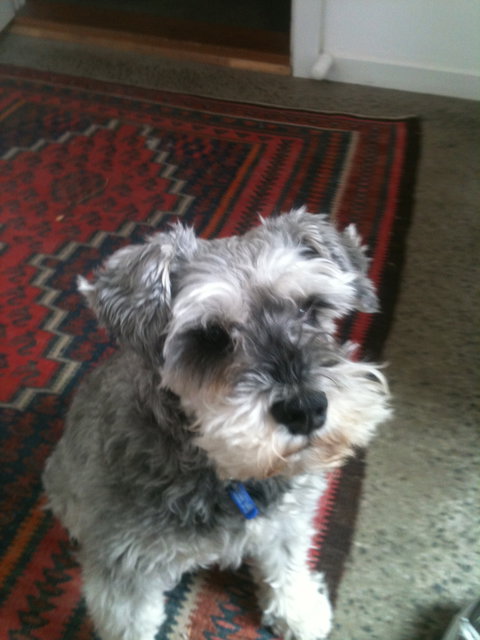 Parkside Stay Clifton Hill - Redcliffe Tourism 14