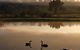 Mansfield Holiday Park - thumb 2