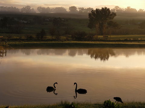 Mansfield Holiday Park - Redcliffe Tourism 2