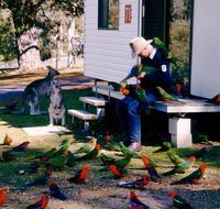 Inland Waters Holiday Parks Burrinjuck - Redcliffe Tourism