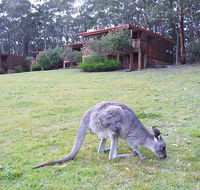 Jenolan Caves Cottages - Redcliffe Tourism