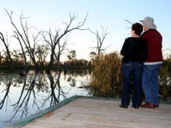 Kingston-On-Murray Caravan Park - Redcliffe Tourism 2