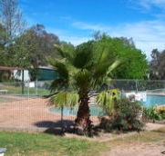 Lake Burrinjuck Leisure Resort - Redcliffe Tourism