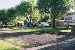 Poplar Caravan Park - Redcliffe Tourism 3