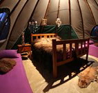 Aranyani Bison Adventure Tourist Park - Redcliffe Tourism